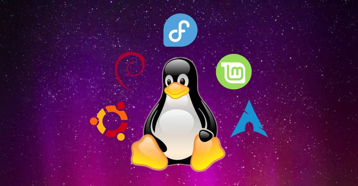 Distribuciones Linux cómo elegir la mejor para tu paladar